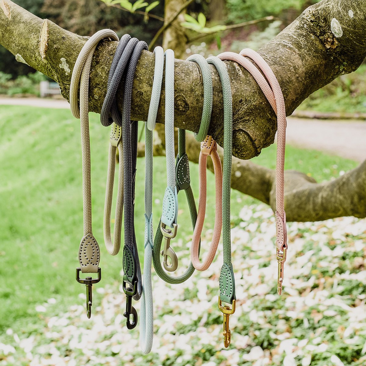 ne&no® Tauleine für Hunde - 120 / 170 cm