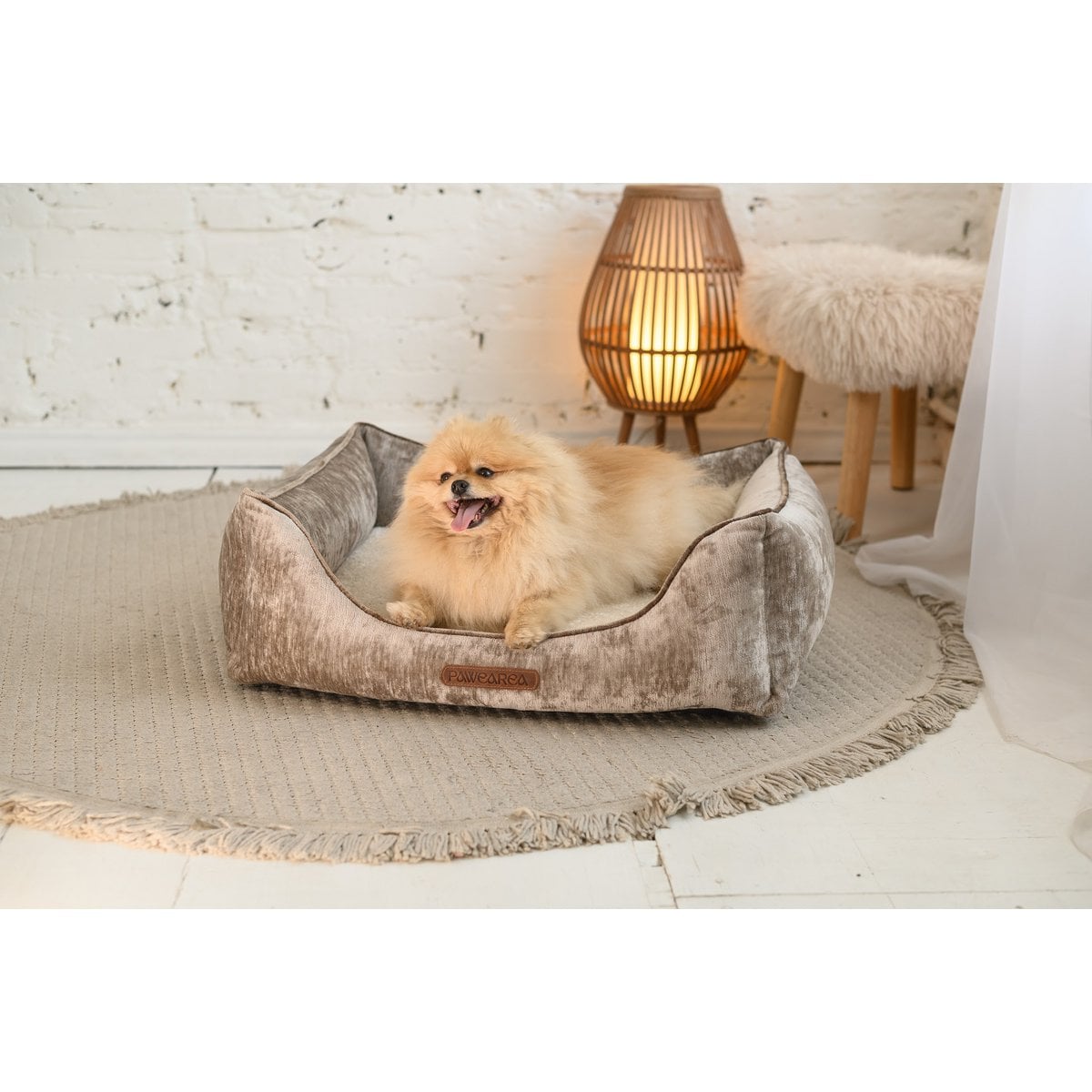 Pawearea Phoebe Luxus-Hundebett – Premium-Samt, handgefertigt in Europa, moderner Designer-Stil