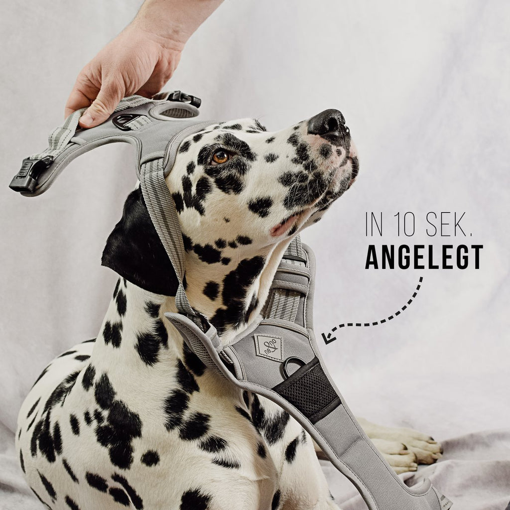 ne&no Dog Harness with Matching Shock Absorber [Developed by NE&NO]