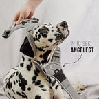 ne&no Dog Harness with Matching Shock Absorber [Developed by NE&NO]