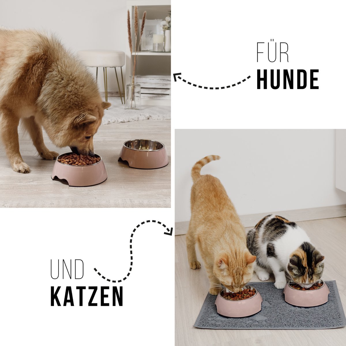 ne&no Feeding Bowl, Set of 2, for Dogs and Cats, Rose (Sizes S/M/L)