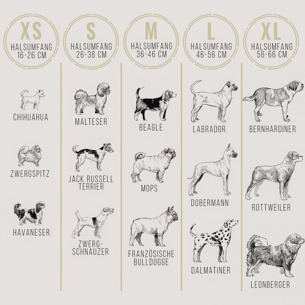 ne&no® set halsband en lijn – veganistisch leer, voor kleine & grote honden bruin + beige