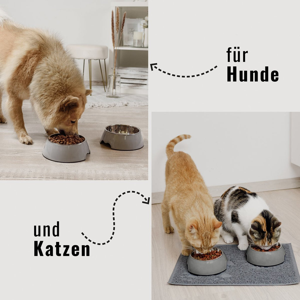 ne&no Feeding Bowl, Set of 2, for Dogs and Cats, Grey (Sizes S/M/L/XL)