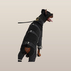 MoonRise Lulu pantalon After-Rain pour grands chiens – noir