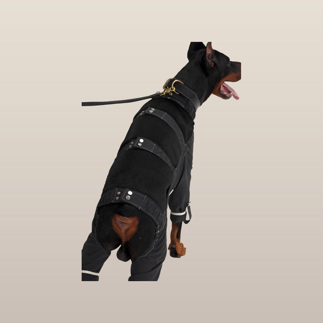 MoonRise Lulu After-Rain broek voor grote honden – zwart
