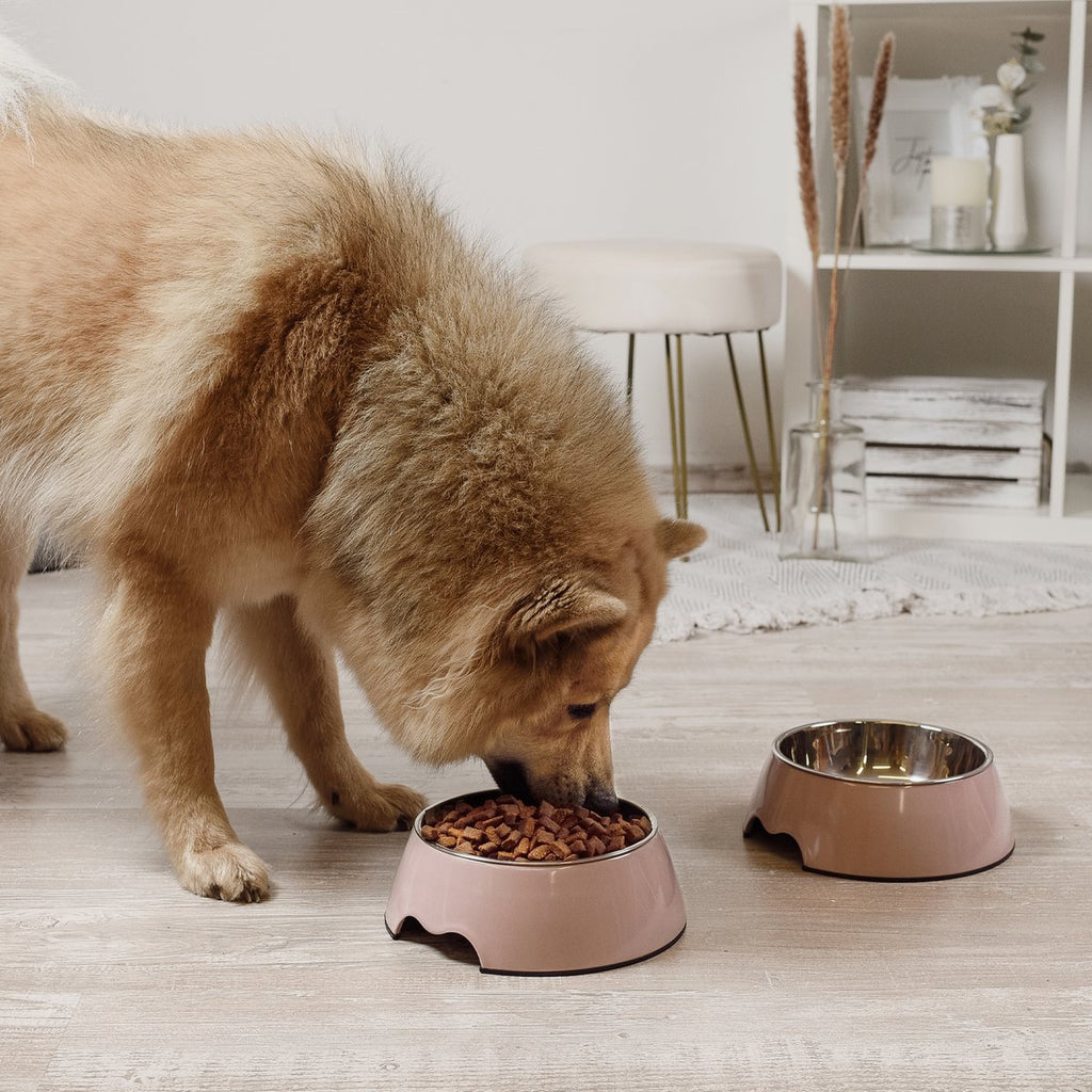 ne&no Feeding Bowl, Set of 2, for Dogs and Cats, Rose (Sizes S/M/L)