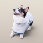 MoonRise Lulu Hunde-Regenmantel – ultraweich, wasserdicht, Weiß