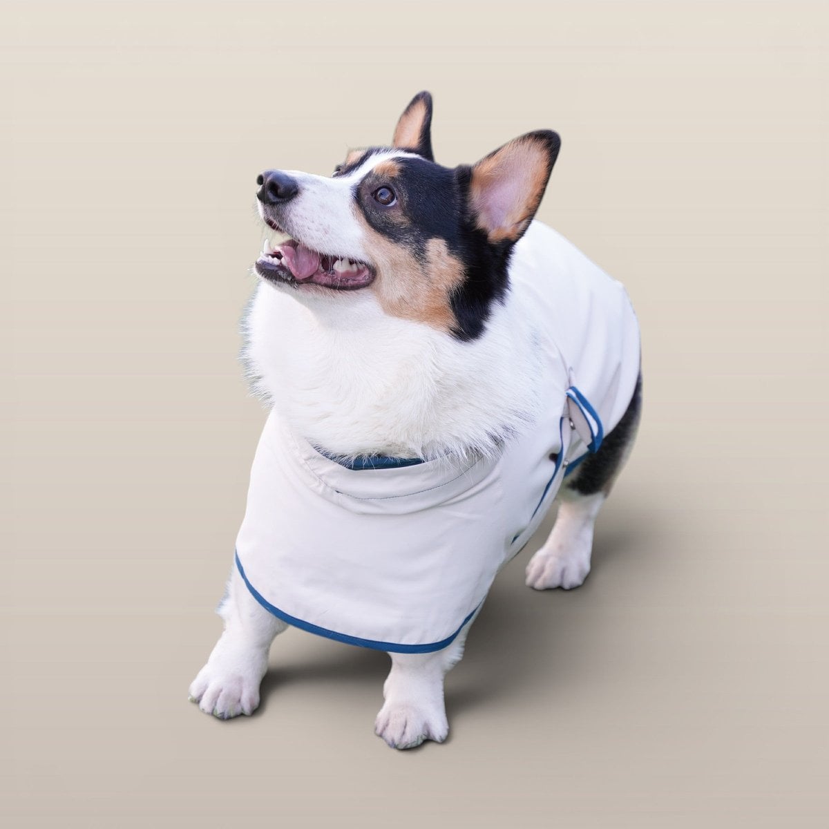 MoonRise Lulu Hunde-Regenmantel – ultraweich, wasserdicht, Weiß