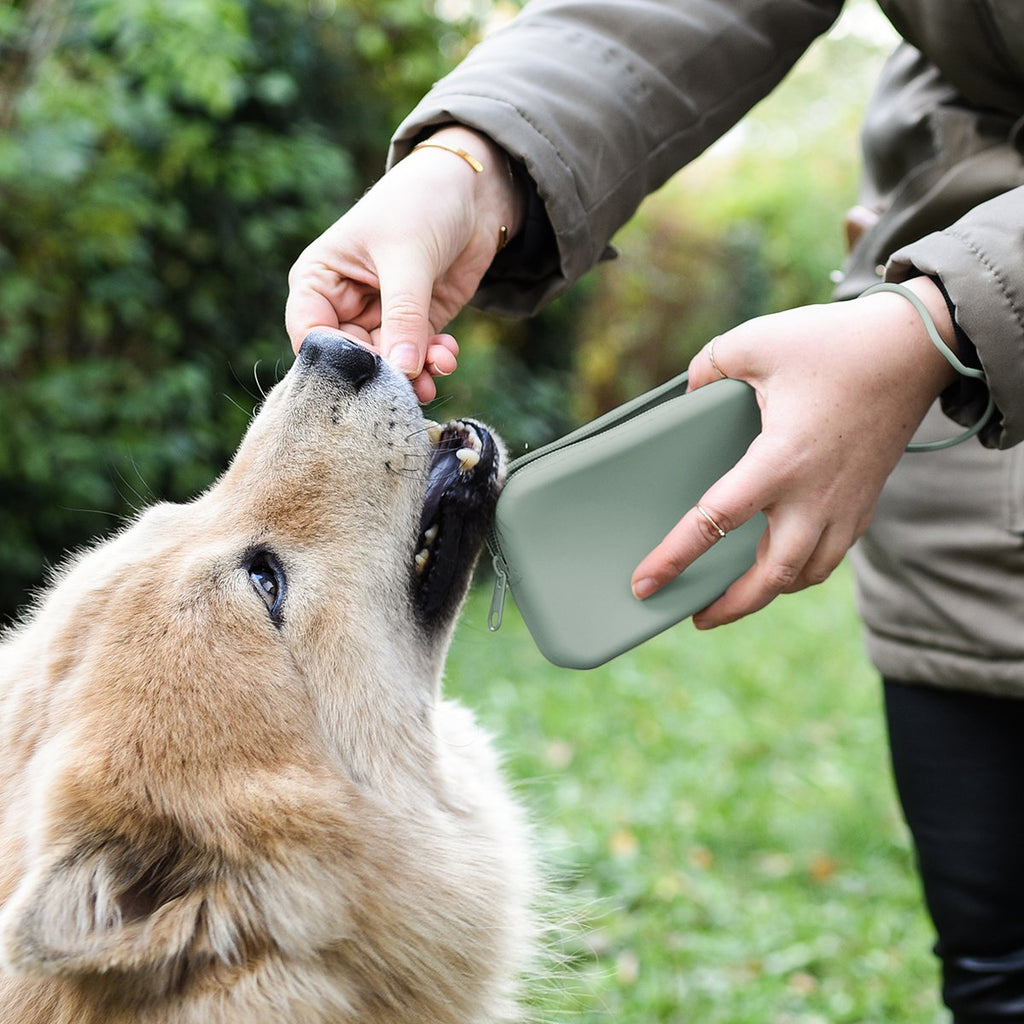 ne&no Silicone Treat Pouch for Dogs