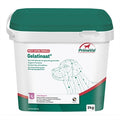 Primeval Gelatinat Hund