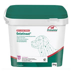 Primeval Gelatinat Hund