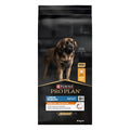 Pro Plan Hund Erwachsene Grosse Rasse Robustes Huhn 14 Kg