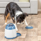 Trixie Hund Aktivität Gedächtnistrainer 3.0 20X24 Cm