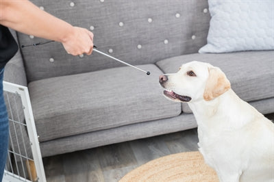 Trixie Hund Aktivität Ziel Stick Zeiger Assorti 14-65 Cm