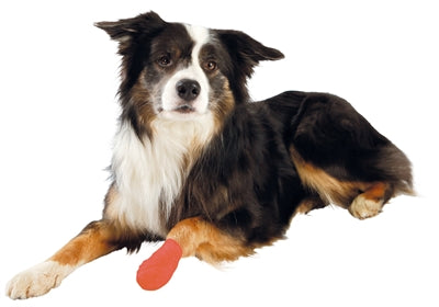 Trixie Heftpflaster Sortiert 5 Cm 4,5 Mtr 4 Stk.