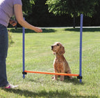 Trixie Hund Aktivität Agilität Horde Blau/Orange 123X115X3 Cm
