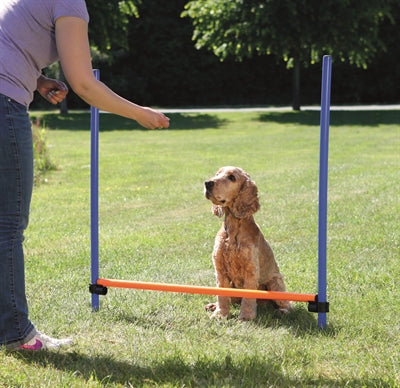 Trixie Hund Aktivität Agilität Horde Blau/Orange 123X115X3 Cm