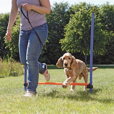 Trixie Hund Aktivität Agilität Horde Blau/Orange 123X115X3 Cm