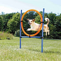 Trixie Hund Aktivität Agility Ring Blau/Orange 65X3X115 Cm