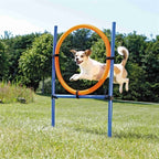 Trixie Hund Aktivität Agility Ring Blau/Orange 65X3X115 Cm