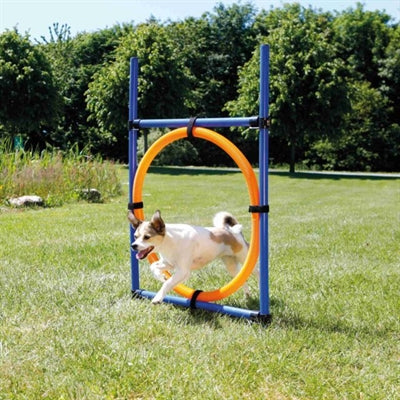 Trixie Hund Aktivität Agility Ring Blau/Orange 65X3X115 Cm