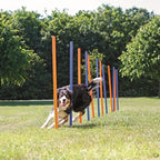 Trixie Hund Aktivität Agilität Slalom Sticks Blau / Orange 115X3 Cm 12 St