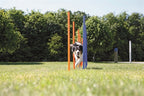 Trixie Hund Aktivität Agilität Slalom Sticks Blau / Orange 115X3 Cm 12 St