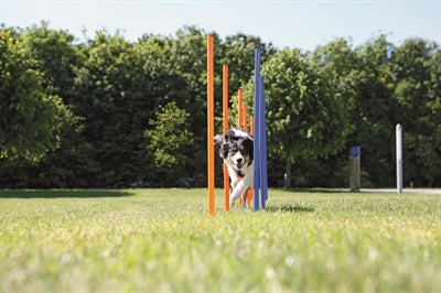 Trixie Hund Aktivität Agilität Slalom Sticks Blau / Orange 115X3 Cm 12 St