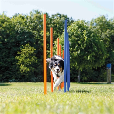 Trixie Hund Aktivität Agilität Slalom Sticks Blau / Orange 115X3 Cm 12 St