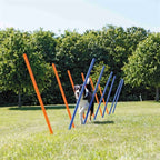Trixie Hund Aktivität Agilität Slalom Sticks Blau / Orange 115X3 Cm 12 St