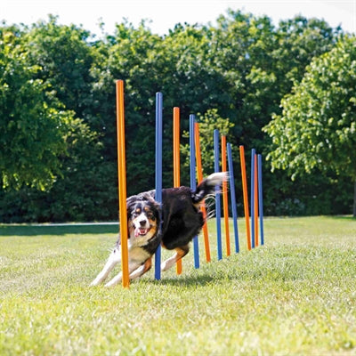 Trixie Hund Aktivität Agilität Slalom Sticks Blau / Orange 115X3 Cm 12 St