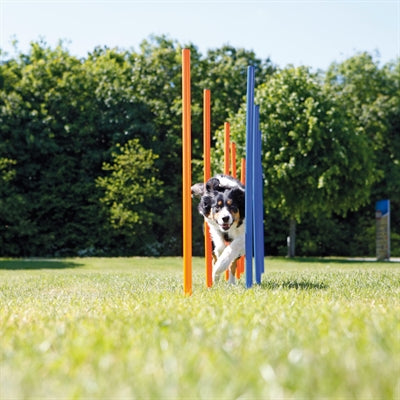 Trixie Hund Aktivität Agilität Slalom Sticks Blau / Orange 115X3 Cm 12 St
