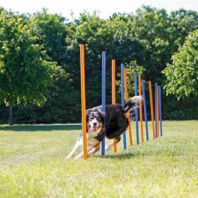Trixie Hund Aktivität Agilität Slalom Sticks Blau / Orange 115X3 Cm 12 St