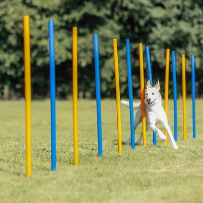 Trixie Hund Aktivität Agilität Slalom Sticks Blau / Orange 115X3 Cm 12 St