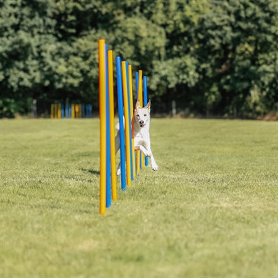 Trixie Hund Aktivität Agilität Slalom Sticks Blau / Orange 115X3 Cm 12 St