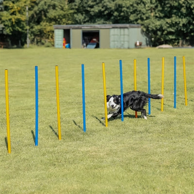Trixie Hund Aktivität Agilität Slalom Sticks Blau / Orange 115X3 Cm 12 St