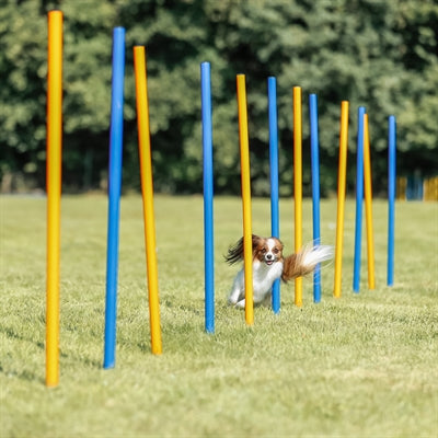 Trixie Hund Aktivität Agilität Slalom Sticks Blau / Orange 115X3 Cm 12 St