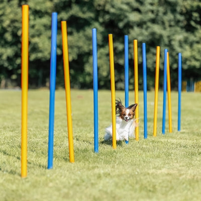 Trixie Hund Aktivität Agilität Slalom Sticks Blau / Orange 115X3 Cm 12 St
