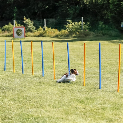 Trixie Hund Aktivität Agilität Slalom Sticks Blau / Orange 115X3 Cm 12 St