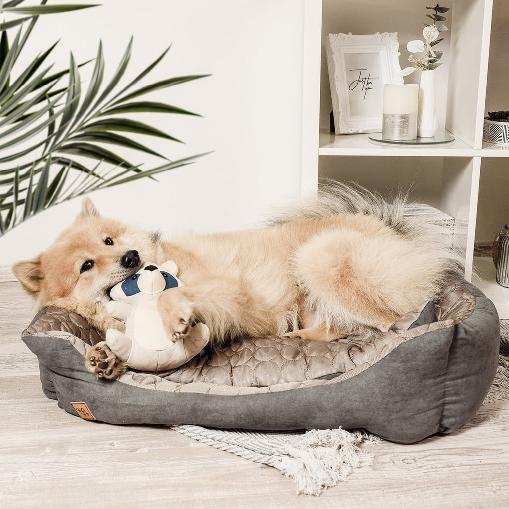 ne&no Hundespielzeug - Hundestofftier mit Quietscher - Frecher Waschbär Wally
