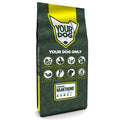 Yourdog Amerikanischer Haarloser Hund Welpe 12 Kg