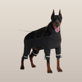 Lulu After-Rain-Hose für große Hunde – Schwarz