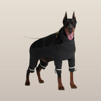 Lulu After-Rain-Hose für große Hunde – Schwarz