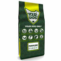 Yourdog Pharao Hund Welpe 12 Kg