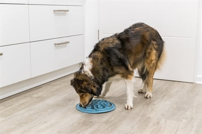 Trixie Slowfeeding Tpe Blau 28X28 Cm