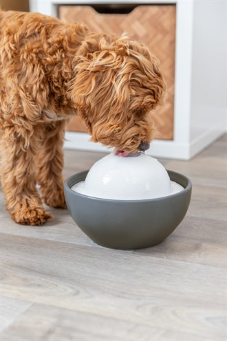 Trixie Vital Dome Trinkbrunnen Keramik Grau/Weiss 1,5 Ltr 20X10X20 Cm
