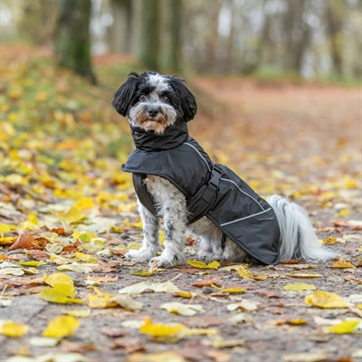 Trixie Hundemantel Winter Brizon Schwarz