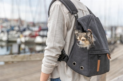 Trixie Be Nordic Hund Rucksack Bjorn Schwarz 35X20X40 Cm