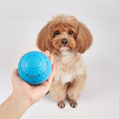 Fofos Rollerball Wiederaufladbar Für Hunde 8,5X8,5X8,5 Cm