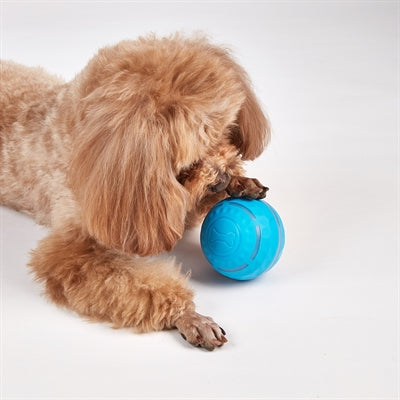 Fofos Rollerball Wiederaufladbar Für Hunde 8,5X8,5X8,5 Cm